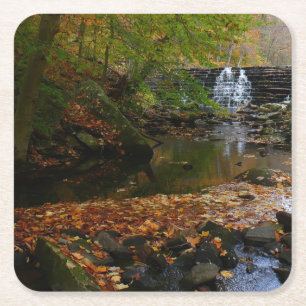 Porta-copo De Papel Quadrado Fall Waterfall e Creek Pennsylvania Nature Photo