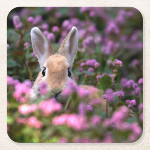 Porta-copo De Papel Quadrado Fazenda do coelho