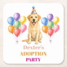 Festa de Adoção Dia da Captura Labrador Cão Pet
