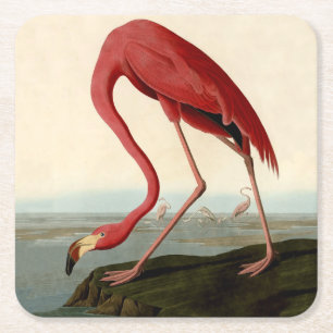 Porta-copo De Papel Quadrado Flamingo Americano