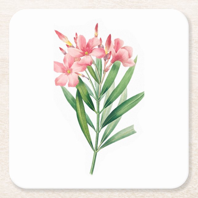 Porta-copo De Papel Quadrado Flor: A005 Oleander - (Frente)