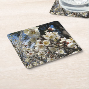 Porta-copo De Papel Quadrado Flor branco de cereja / Sakura / ク サ(桜)