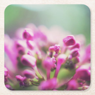 Porta-copo De Papel Quadrado Flor de bokeh macro vintage rosa