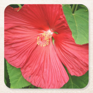 Porta-copo De Papel Quadrado Flor de Hibiscus Brilhante Magenta