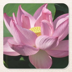 Porta-copo De Papel Quadrado Flor de Lotus Rosa IV