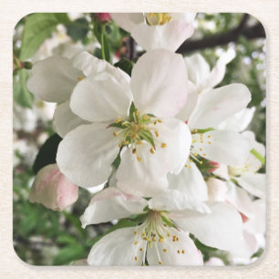 Porta-copo De Papel Quadrado Flor de maçã