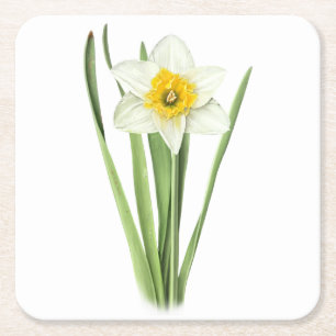 Porta-copo De Papel Quadrado Flor de Narciso