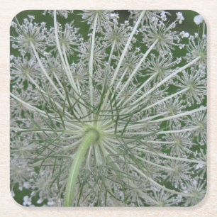 Porta-copo De Papel Quadrado Flor de rendas da Rainha Branca e Verde de Anne