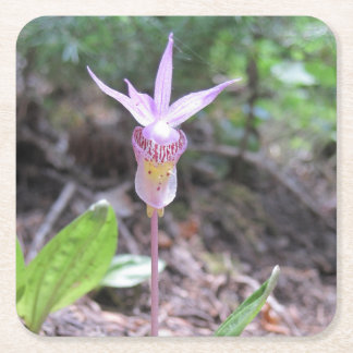 Porta-copo De Papel Quadrado Flor Orquídea Fairyslipper