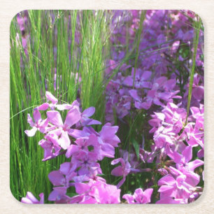 Porta-copo De Papel Quadrado Floral de Verão de Flox e Grama Rosa