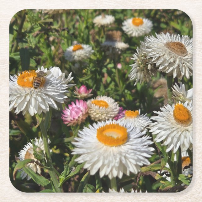 Porta-copo De Papel Quadrado Flores (Frente)