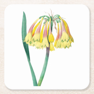 Porta-copo De Papel Quadrado Flores: A003 Planta Antica -