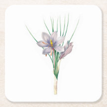 Flores: A007 Autumn Crocus -
