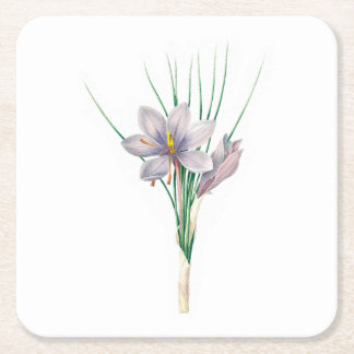 Porta-copo De Papel Quadrado Flores: A007 Autumn Crocus -