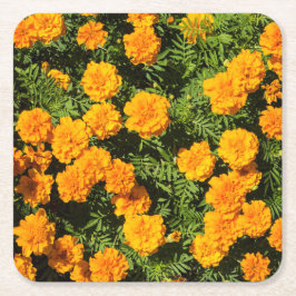 Porta-copo De Papel Quadrado Flores Amarelas Marigold