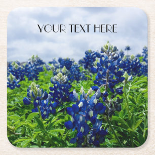 Porta-copo De Papel Quadrado Flores Azuis Flores do Texas Floral