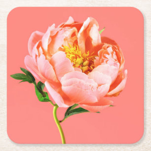 Porta-copo De Papel Quadrado Flores   Coral Peony Blossom
