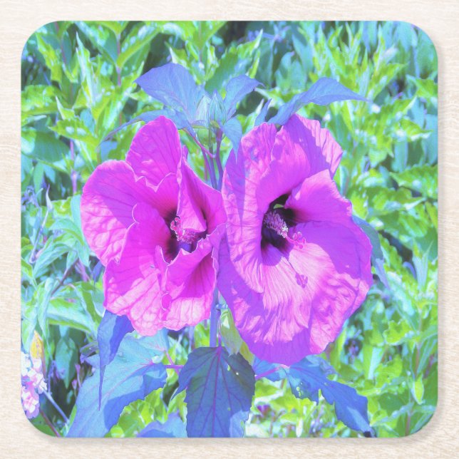 Porta-copo De Papel Quadrado Flores de Hibisco Roxo-Roxo-Violeta (Frente)