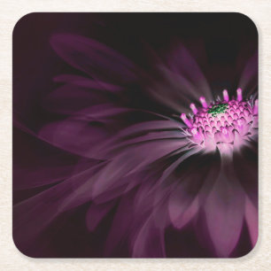 Porta-copo De Papel Quadrado Flores Margarida Roxa