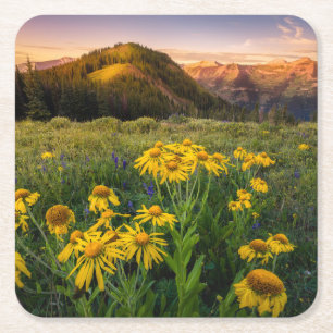 Porta-copo De Papel Quadrado Flores Mountain Meadow Brested Colorado