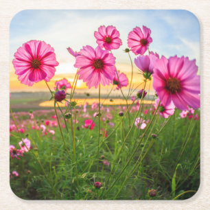 Porta-copo De Papel Quadrado Flores  Província de Chiang Rai, Tailândia
