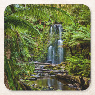Porta-copo De Papel Quadrado Florestas Beauchamp Falls Austrália