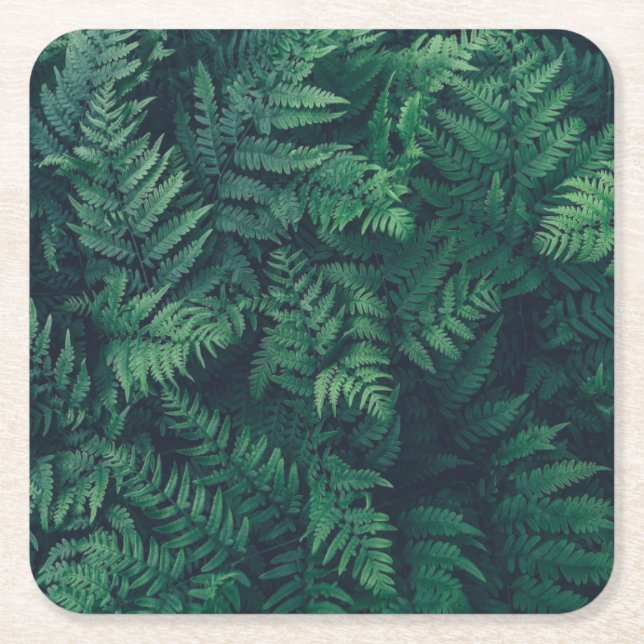 Porta-copo De Papel Quadrado Florestas | Ferns De Madeira (Frente)