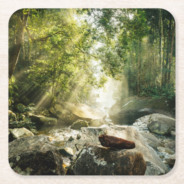 Porta-copo De Papel Quadrado Florestas | Floresta Tropical Selva (Frente)