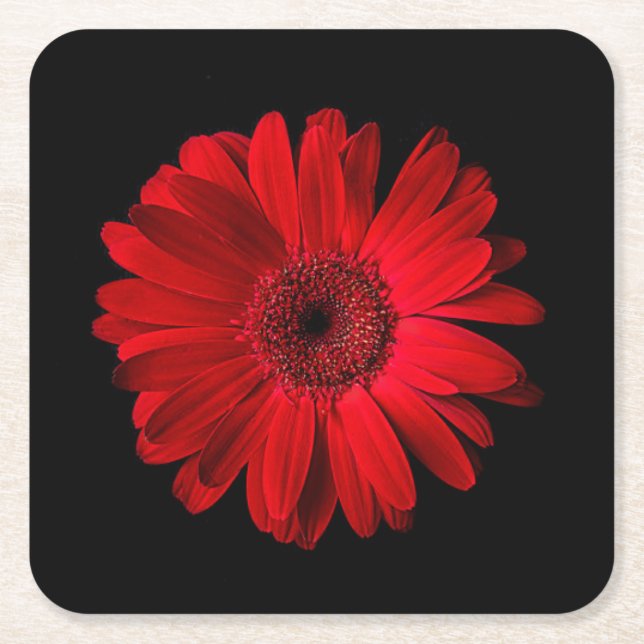 Porta-copo De Papel Quadrado Flowers | Red Gerbera Daisy (Frente)