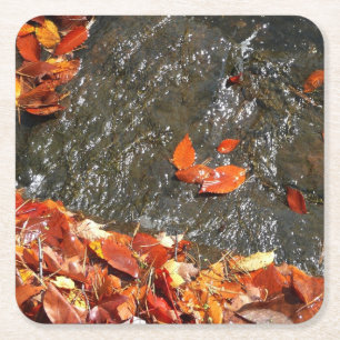 Porta-copo De Papel Quadrado Folhas de Outono na Cachoeira I Fotografia de Outo