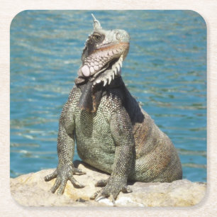 Porta-copo De Papel Quadrado Fotografia da Vida Selvagem Tropical de Iguana