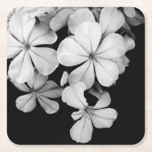 Porta-copo De Papel Quadrado Fotografia de Flores em Preto e Branco