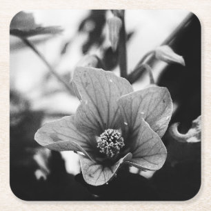 Porta-copo De Papel Quadrado Fotografia Floral em Preto e Branco
