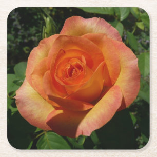 Porta-copo De Papel Quadrado Fotografia Floral Laranja Peach Rosa