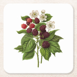 Porta-copo De Papel Quadrado Frutas: A014 Blackberry -
