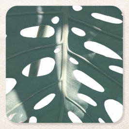 Porta-copo De Papel Quadrado Funky Pale Green Swiss Cheese Plant