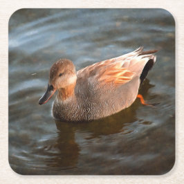 Porta-copo De Papel Quadrado Gadwall Duck Drake no lago