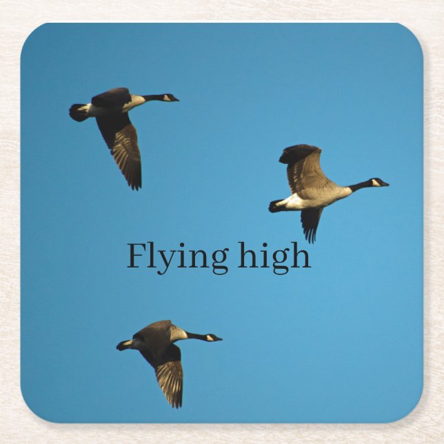 Porta-copo De Papel Quadrado Gansos canadenses em voo (Frente)
