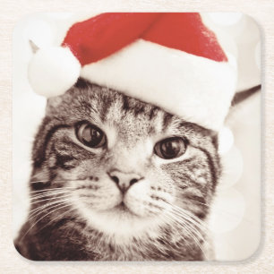 Porta-copo De Papel Quadrado Gato de gato malhado doméstico que veste o chapéu