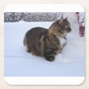 Porta-copo De Papel Quadrado gato floresta norueguesa na neve