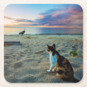 Porta-copo De Papel Quadrado Gato que senta-se em uma praia