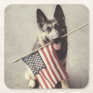 Porta-copo De Papel Quadrado german shepherd com sinalizador dos EUA