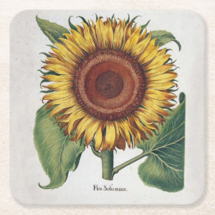 Porta-copo De Papel Quadrado Girassol Vintage Damask Flower Art