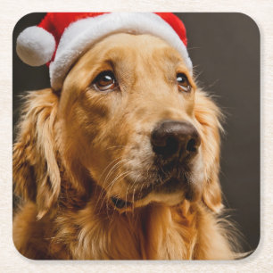 Porta-copo De Papel Quadrado Golden retriever que levanta para seu Natal