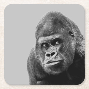 Porta-copo De Papel Quadrado Gorila Branca Negra