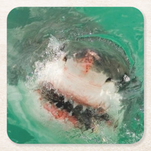 Porta-copo De Papel Quadrado Grande branco Shark1