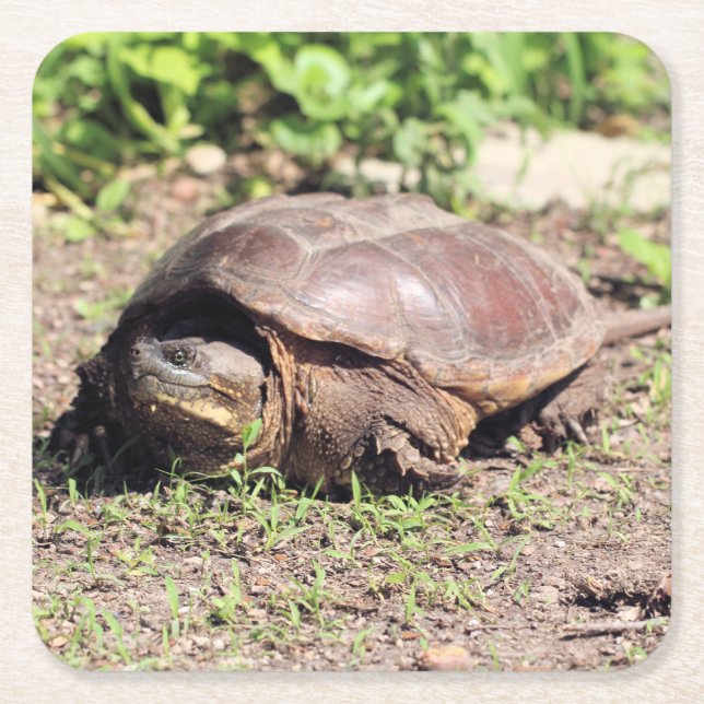 Porta-copo De Papel Quadrado Grande cara (Frente)