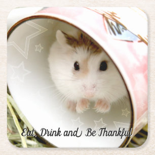 Porta-copo De Papel Quadrado Hammyville - Hamster Bonito