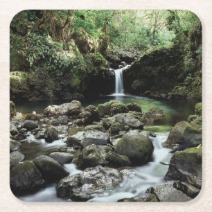 Porta-copo De Papel Quadrado Havaí, Maui, uma cachoeira flui para a Piscina azu