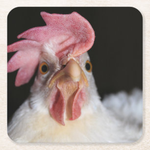 Porta-copo De Papel Quadrado Hen